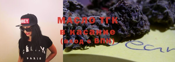 мет Алексин