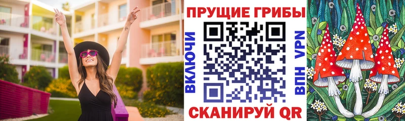 Галлюциногенные грибы мицелий  наркота  omg зеркало  Красногорск 
